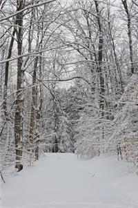 Journal Winter Weather