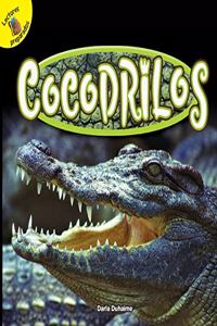 Cocodrilos