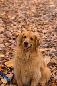 Golden Retriever Dog Pup Puppy Doggie Notebook Bullet Journal Diary Composition Book Notepad - Sitting in Foliage