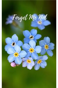 Forget Me Not