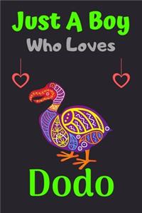 Just A Boy Who Loves Dodo