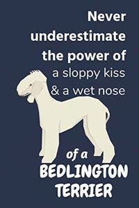 Never underestimate the power of a sloppy kiss & a wet nose of a Bedlington Terrier
