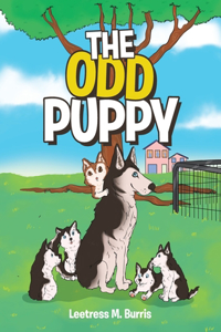 Odd Puppy
