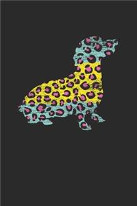 Dachshund Leopard