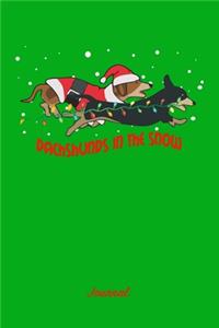 Dachshund In The Snow