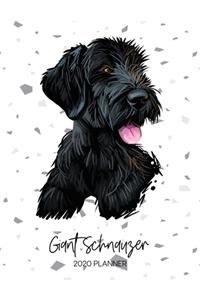 Giant Schnauzer 2020 Planner