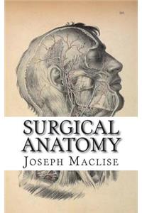 Surgical Anatomy