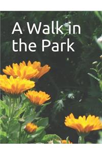 Walk in the Park