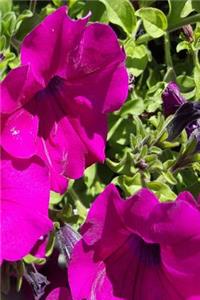 Floral 2019 Daily Planner Purple Summer Blooms 384 Pages