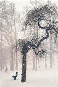 Winter Journal