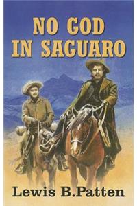 No God In Saguaro