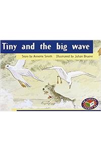 Tiny and the big wave