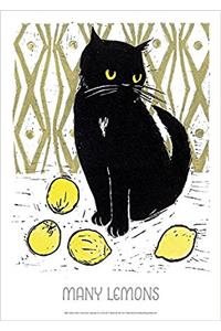 WHEN LIFE GIVES YOU LEMONS