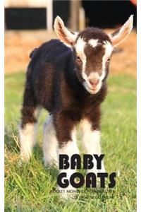 Baby Goats Pocket Monthly Planner 2018