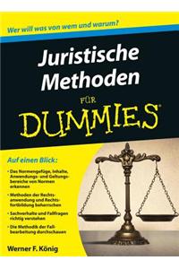 Juristische Methoden fur Dummies