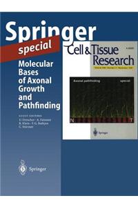 Molecular Bases of Axonal Growth and Pathfinding