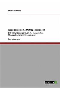 Wozu Europäische Metropolregionen?