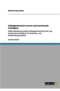 Selbstgesteuertes Lernen und emotionale Intelligenz