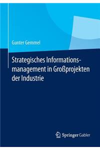 Strategisches Informationsmanagement in Großprojekten der Industrie