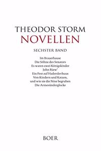 Novellen sechster Band
