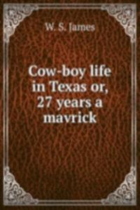 Cow-boy life in Texas