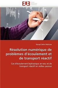 Résolution Numérique de Problèmes d''écoulement Et de Transport Réactif