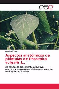 Aspectos anatómicos de plántulas de Phaseolus vulgaris L.,