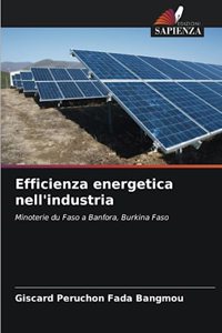 Efficienza energetica nell'industria