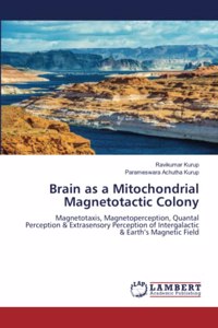 Brain as a Mitochondrial Magnetotactic Colony