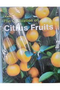 Cultivation of Citrus Fruits