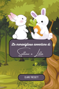 meravigliose avventure di Saltino e Lilla