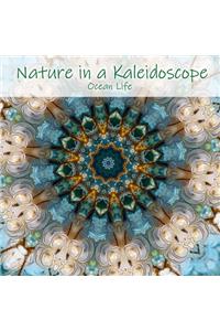 Nature in a Kaleidoscope