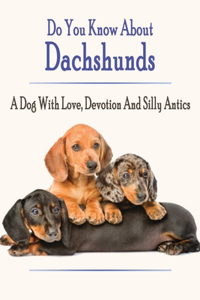 Do You Know About Dachshunds