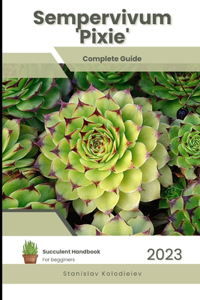 Sempervivum 'Pixie'