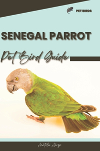Senegal Parrot