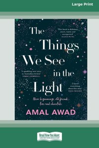 Things We See in the Light [16pt Large Print Edition]