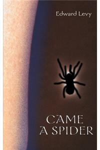 Came a Spider