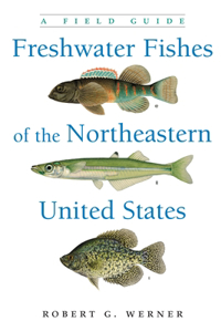 Freshwater Fishes of the Northeastern United States