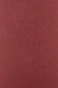 Eye Priory Cartulary and Charters