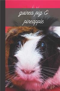 Guinea pig & Pineapple