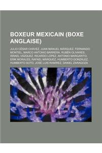 Boxeur Mexicain (Boxe Anglaise)