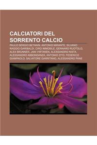 Calciatori del Sorrento Calcio