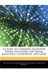 A Guide to Common Saltwater Fishes Including the Royal Angelfish, Clownfish, and Goby