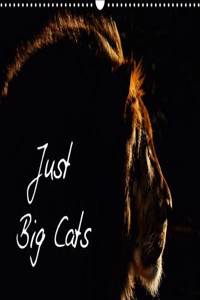 Just Big Cats 2017: Magnificent Felines from Around the World (Calvendo Animals)