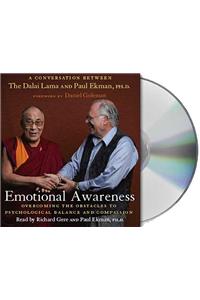 Emotional Awareness