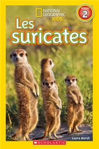 National Geographic Kids: Les Suricates (Niveau 2)