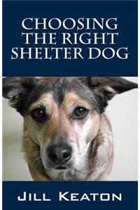 Choosing the Right Shelter Dog