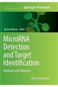 Microrna Detection and Target Identification