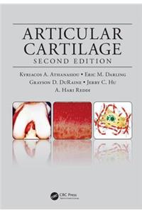 Articular Cartilage