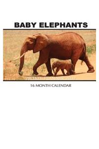 Baby Elephants Weekly Planner 2017
